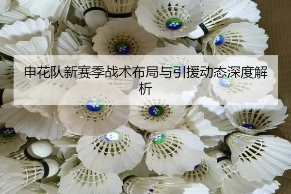 申花队新赛季战术布局与引援动态深度解析